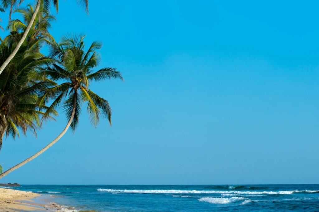 pexels-photo-319893-319893 A peaceful tropical beach with palm trees and a clear blue sky in Unawatuna, Sri Lanka.